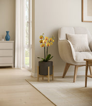 Load image into Gallery viewer, Dark Olive stand:bamboo
