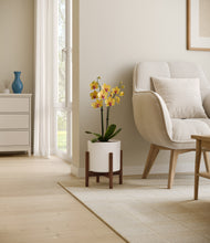 Load image into Gallery viewer, White stand:walnut
