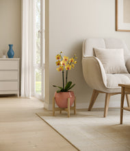 Load image into Gallery viewer, Calm Rose stand:bamboo
