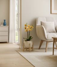 Load image into Gallery viewer, Shiny EggWhite stand:bamboo
