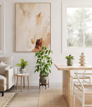 Load image into Gallery viewer, Earthy stand:one_stand
