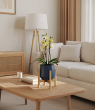 Load image into Gallery viewer, Deep Navy stand:bamboo
