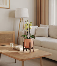 Load image into Gallery viewer, Calm Rose stand:walnut
