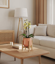 Load image into Gallery viewer, Calm Rose stand:bamboo

