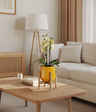 Load image into Gallery viewer, Mustard stand:bamboo
