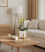 Load image into Gallery viewer, White stand:bamboo
