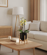 Load image into Gallery viewer, Stone Black stand:bamboo
