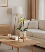 Load image into Gallery viewer, Cotton White stand:bamboo
