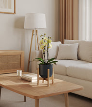Load image into Gallery viewer, Iron Gray stand:bamboo
