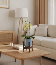 Load image into Gallery viewer, Misty Blue stand:walnut
