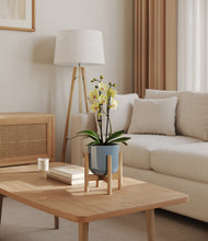 Load image into Gallery viewer, Misty Blue stand:bamboo
