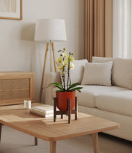 Load image into Gallery viewer, Earth Red stand:walnut
