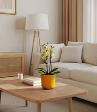 Load image into Gallery viewer, Sunset Orange
