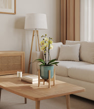 Load image into Gallery viewer, Reactive Aqua stand:bamboo
