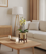 Load image into Gallery viewer, Sage Green stand:walnut
