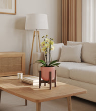 Load image into Gallery viewer, Striped Rose Pink stand:walnut
