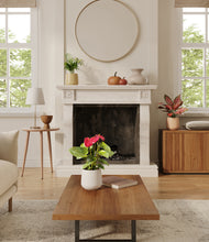 Load image into Gallery viewer, Sandy
