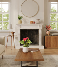 Load image into Gallery viewer, Sandy stand:one_stand
