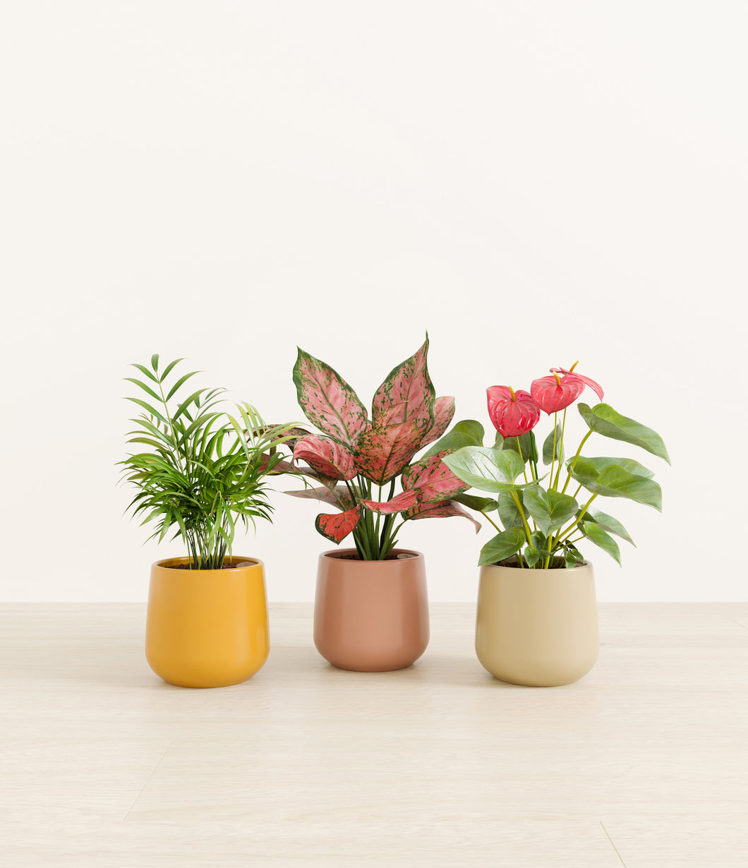 Evening Sky*****Profile