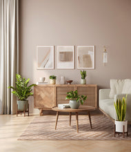 Load image into Gallery viewer, Enlightened Oasis
