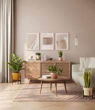 Load image into Gallery viewer, Enlightened Oasis
