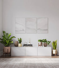 Load image into Gallery viewer, Enlightened Oasis
