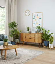 Load image into Gallery viewer, -
