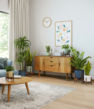 Load image into Gallery viewer, Earthy stand:five_stands
