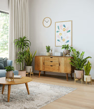 Load image into Gallery viewer, Sandy stand:five_stands
