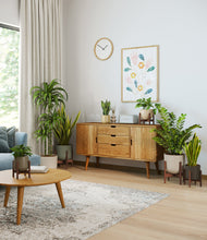 Load image into Gallery viewer, Woodland stand:five_stands
