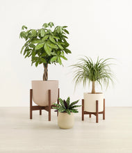 Load image into Gallery viewer, Sandy stand:two_stands
