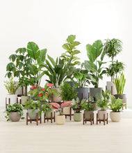 Load image into Gallery viewer, Countryside stand:fourteen_stands
