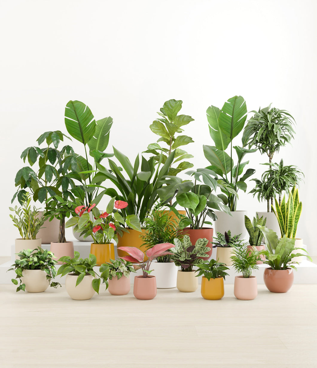 Evening Sky*****Profile