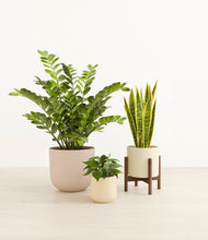 Load image into Gallery viewer, Sandy stand:one_stand
