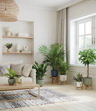 Load image into Gallery viewer, Earthy stand:four_stands
