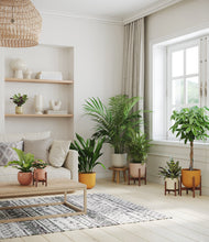 Load image into Gallery viewer, Evening Sky stand:four_stands
