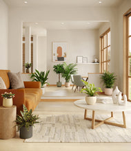 Load image into Gallery viewer, Woodland
