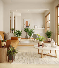 Load image into Gallery viewer, Woodland stand:six_stands
