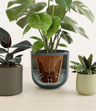 Load image into Gallery viewer, Earthy stand:all

