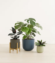 Load image into Gallery viewer, Earthy stand:one_stand
