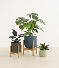 Load image into Gallery viewer, Earthy stand:two_stands
