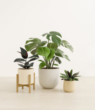 Load image into Gallery viewer, Sandy stand:one_stand
