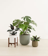 Load image into Gallery viewer, Woodland stand:one_stand
