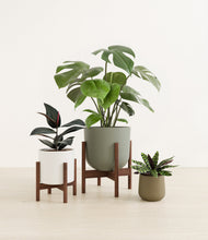 Load image into Gallery viewer, Woodland stand:two_stands
