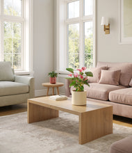 Load image into Gallery viewer, Blush Ivory
