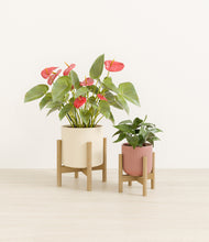 Load image into Gallery viewer, Rose Linen stand:two_stands
