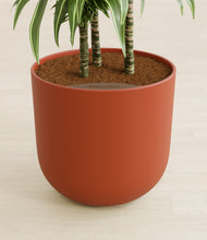 Load image into Gallery viewer, Earth Red stand:all
