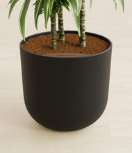 Load image into Gallery viewer, Stone Black stand:all
