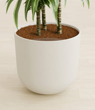 Load image into Gallery viewer, Natural Bamboo stand:all
