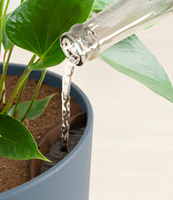 Load image into Gallery viewer, Iron Gray stand:all
